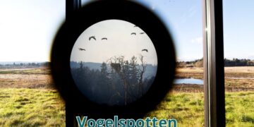 Vogelspotten: mijn nieuwe hobby 15 Vogelspotten