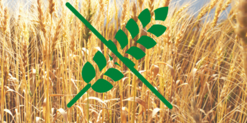 Glutenvrij eten voor beginners