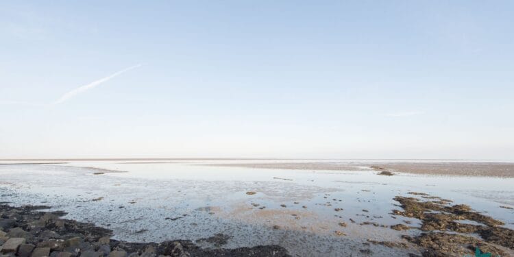 Ontdek de Waddeneilanden 11 Ontdek de waddeneilanden