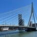 Rotterdam erasmusbrug citytrip