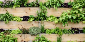 Verticale moestuin maken? 14 Verticale moestuin maken