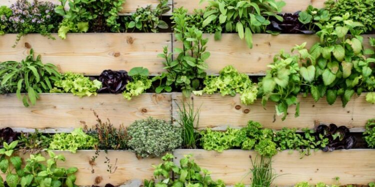 Verticale moestuin maken